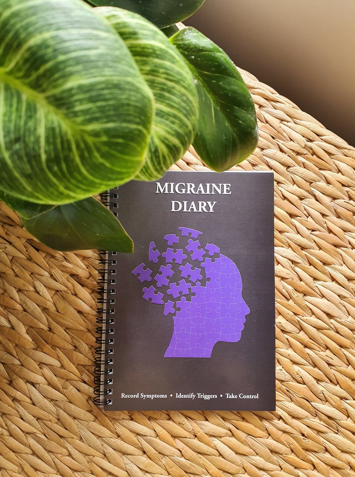 Migraine Diary